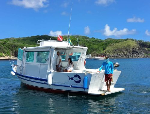 Barco da Catarina no Mar em Fernando de Noronha