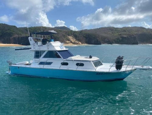 Lancha do Wendell no Mar em Fernando de Noronha